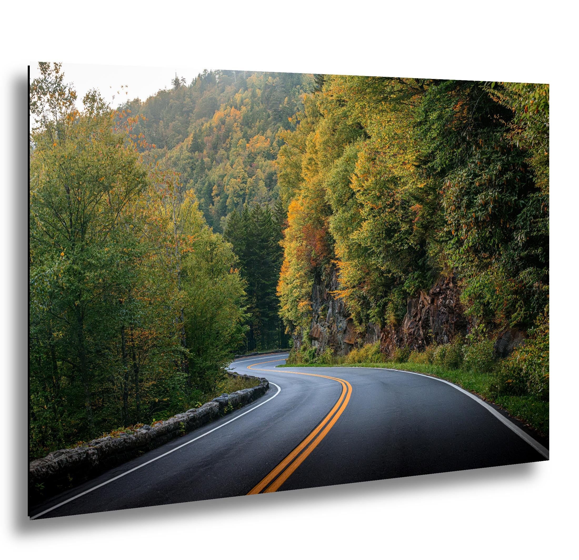 Winding Solace: Curved Road Great Smoky Mountains National Park Wall Art