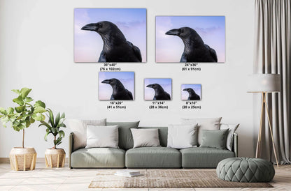 Raven Portrait Print: Arizona Desert Sky Wildlife Photography
