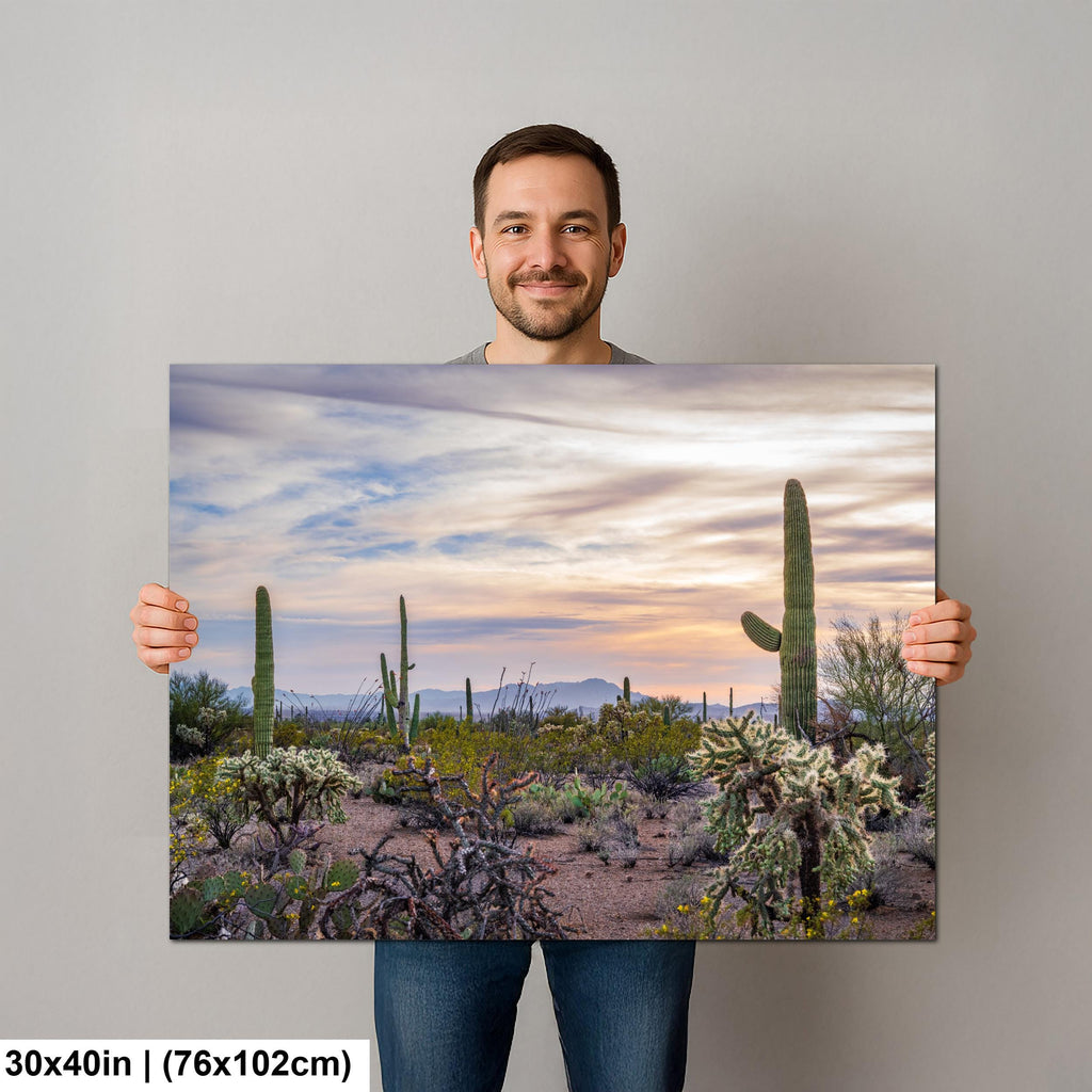 Pastel Desert Sunset with Saguaros and Cholla Tucson Arizona Photography Print