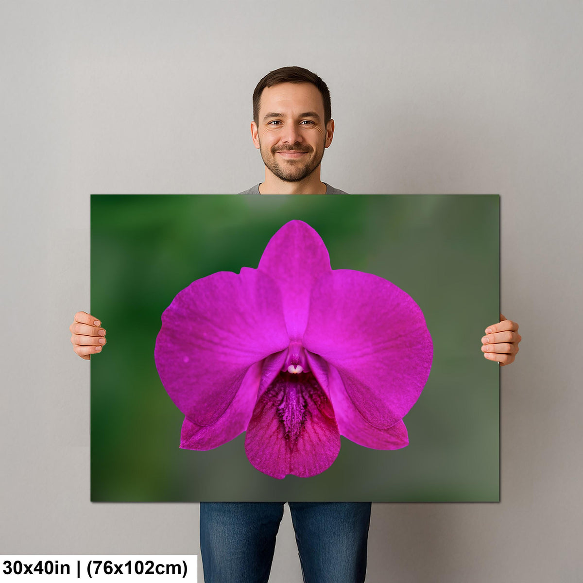 Violet Beauty: Purple Orchid Flower Botanical Floral Photography Wall Art