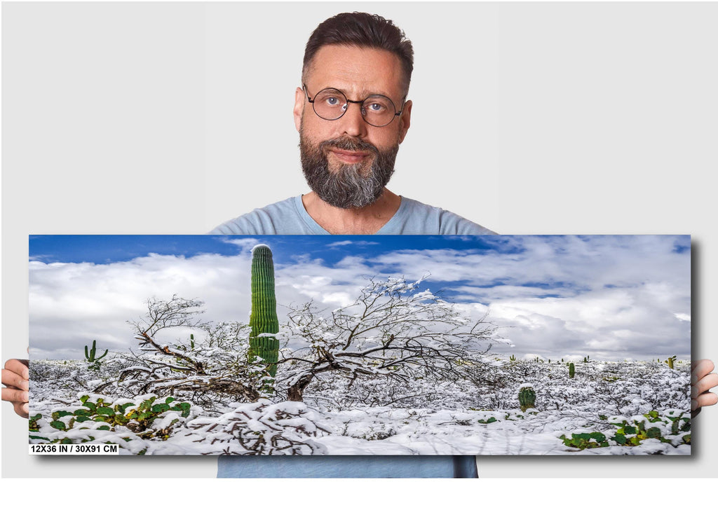 Saguaro Desert Wall Art – Winter Cactus Print | Tucson Arizona Snow Scene Decor