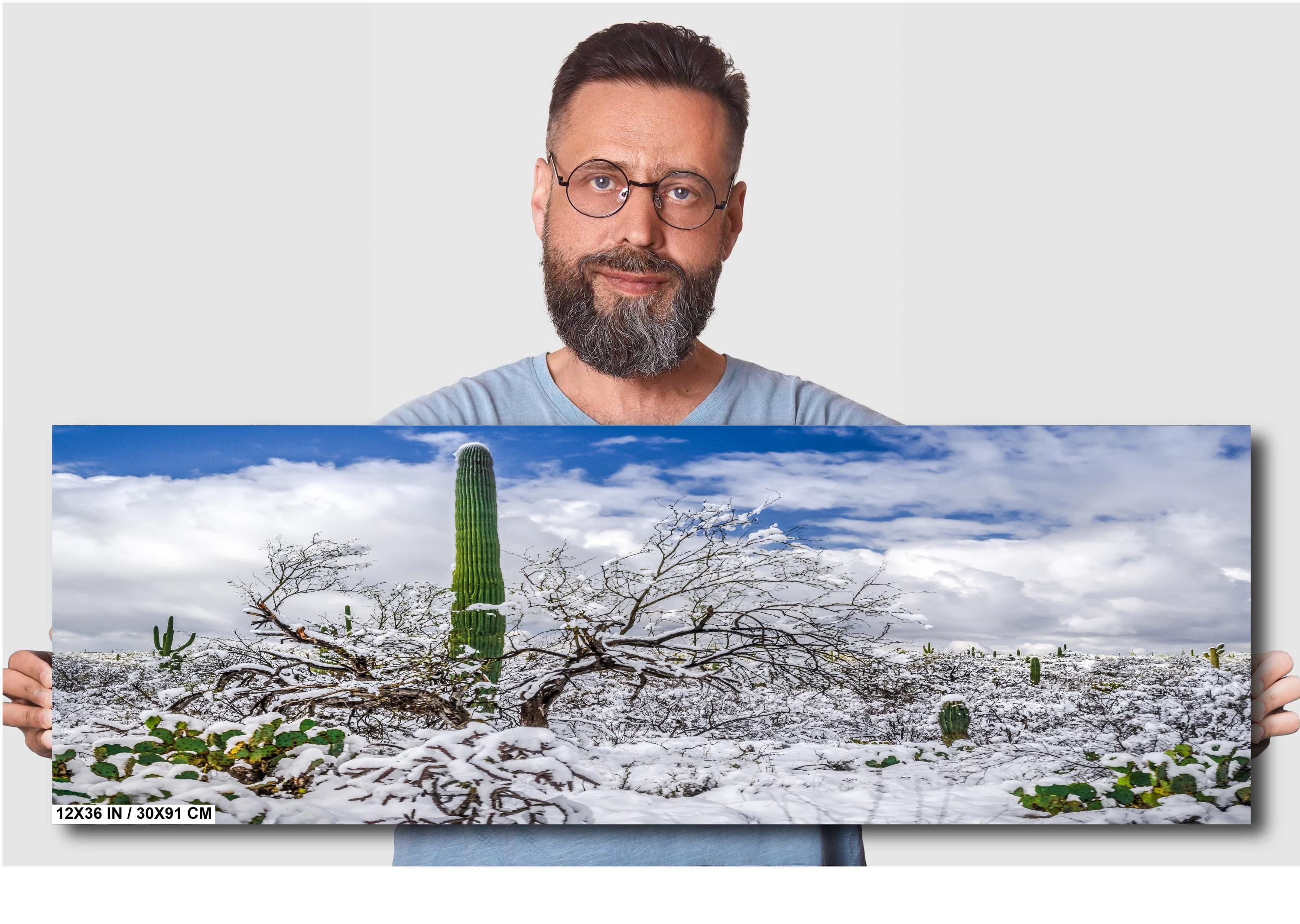 Saguaro Desert Wall Art – Winter Cactus Print | Tucson Arizona Snow Scene Decor