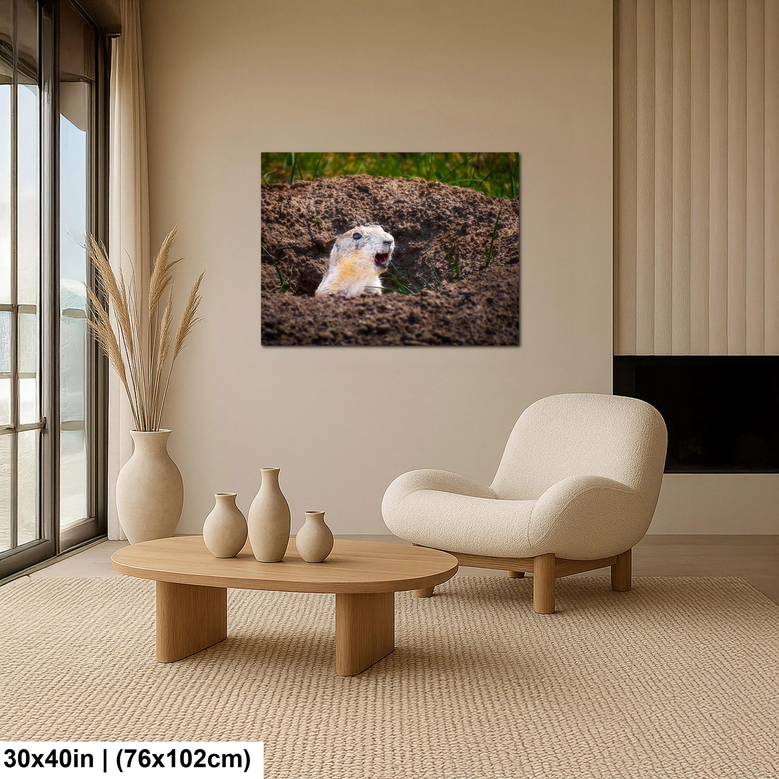 Burrow Scout: Prairie Dog Devils Tower Wyoming Wildlife Photo Wall Art