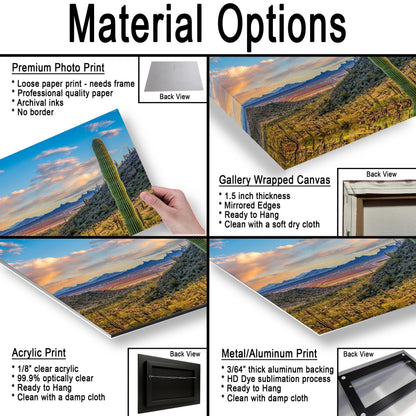 Desert Valley View with Saguaros, Casa Grande Arizona, Photography Wall Art