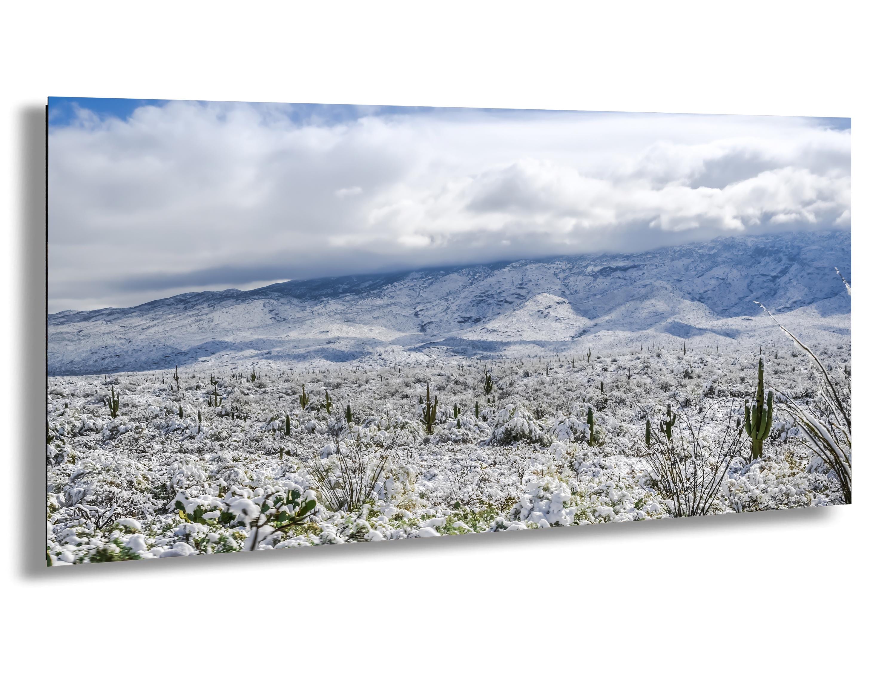 Snow-covered Saguaro National Park with towering cacti and snowy desert landscape under cloudy skies.
