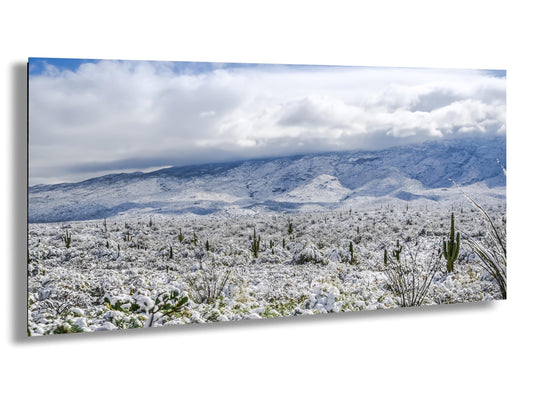 Saguaro National Park Print – Winter Saguaro Desert Wall Art With Snow
