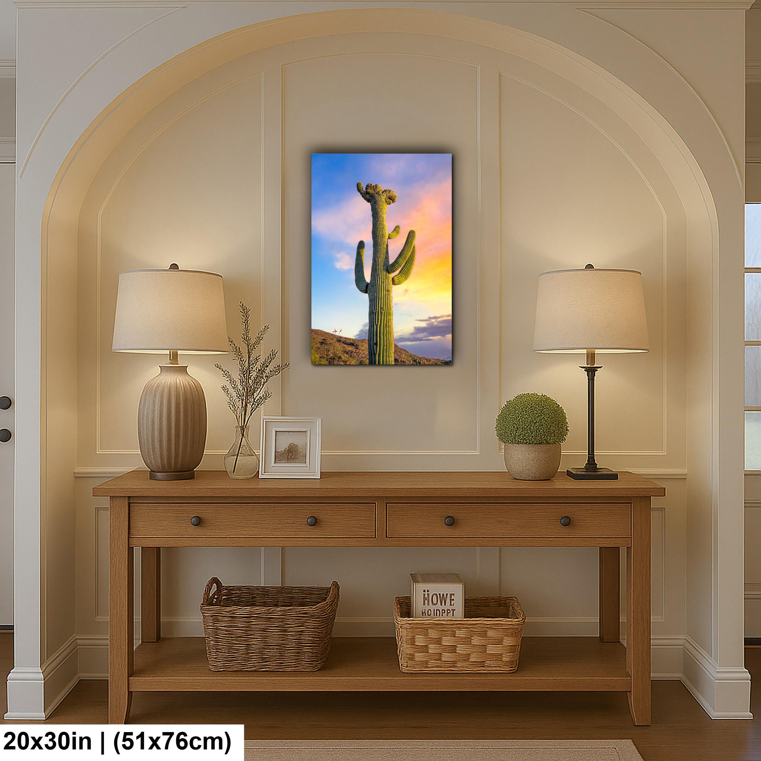 Saguaro Cactus at Sunset - Saguaro National Park East Tucson Arizona Photography Print