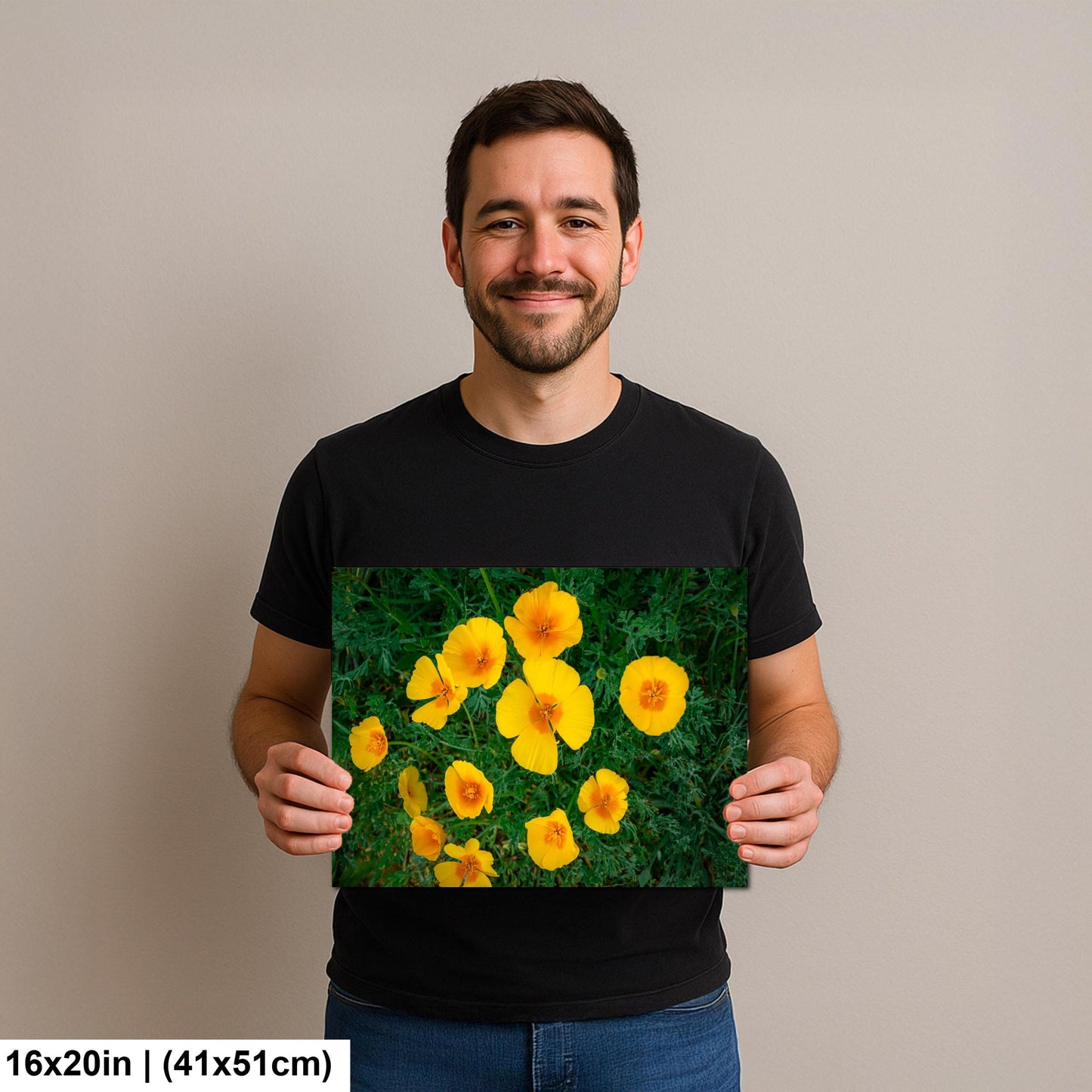 California Poppy Flowers in Bloom - Sonoran Desert Arizona - Tucson Catalina State Park Photography Print