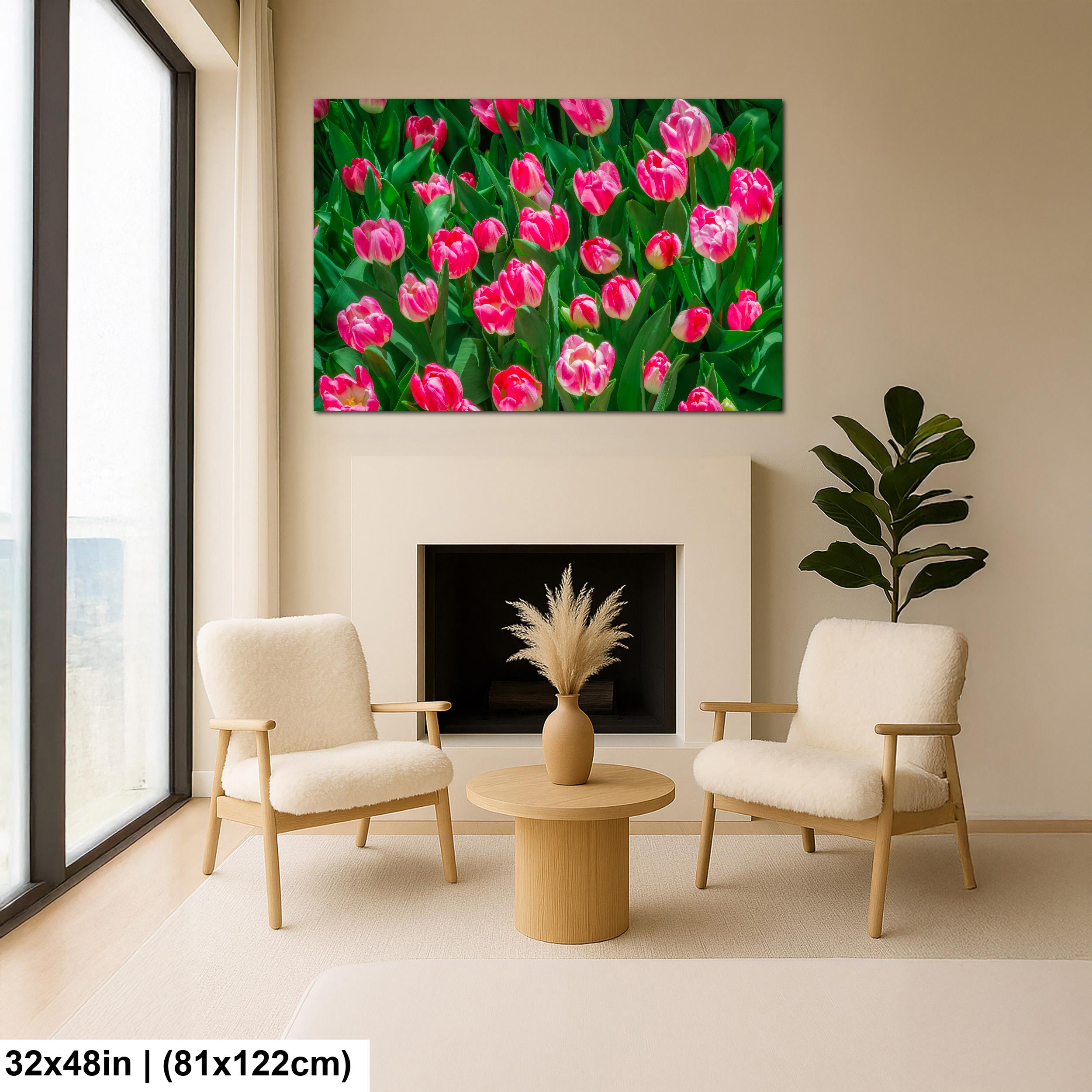 Pink Harmony: Pink Tulips Las Vegas Nevada Flower Photography Wall Art