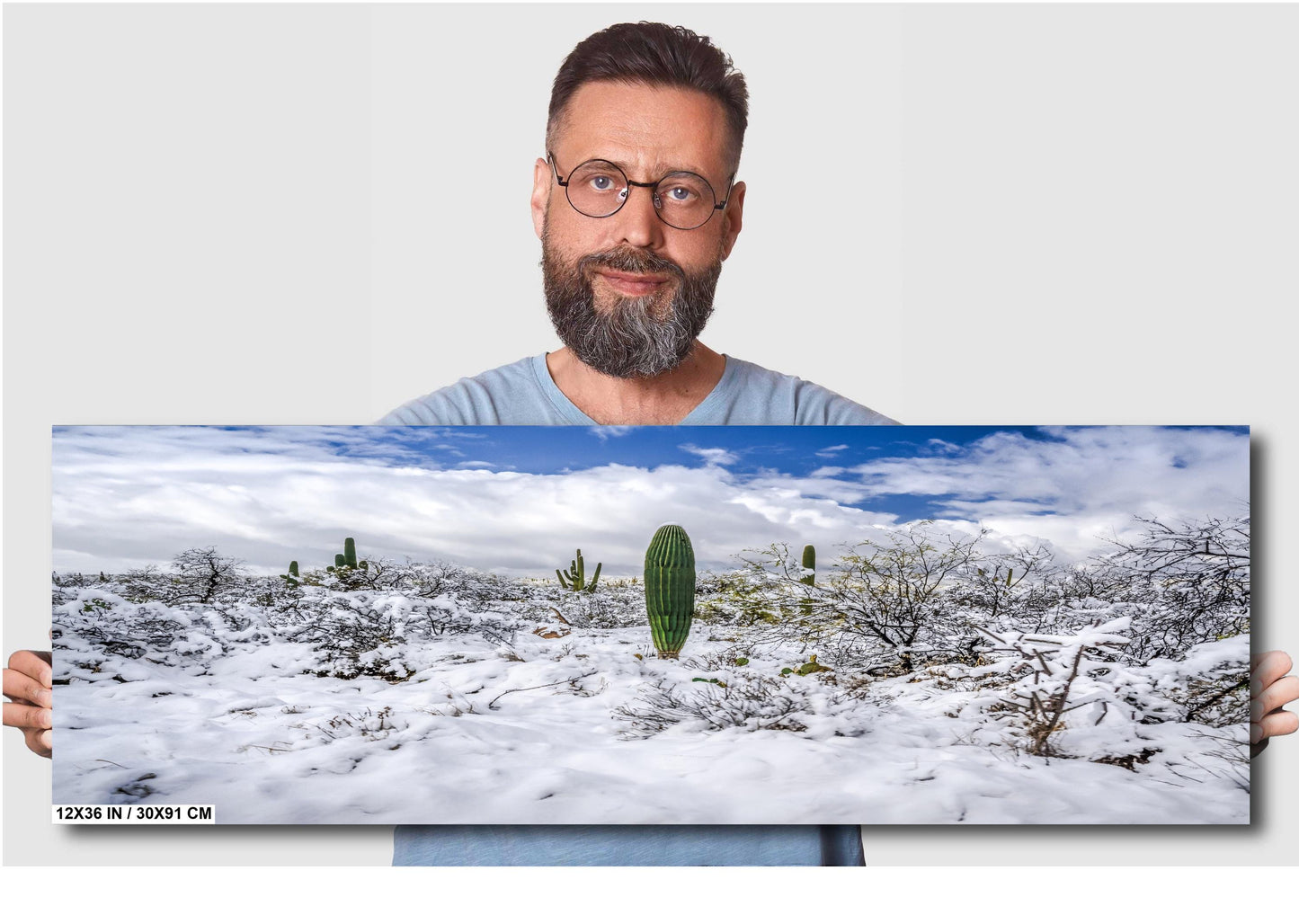 Saguaro National Park Print – Desert Wall Art | Winter Cactus Art in Tucson Arizona