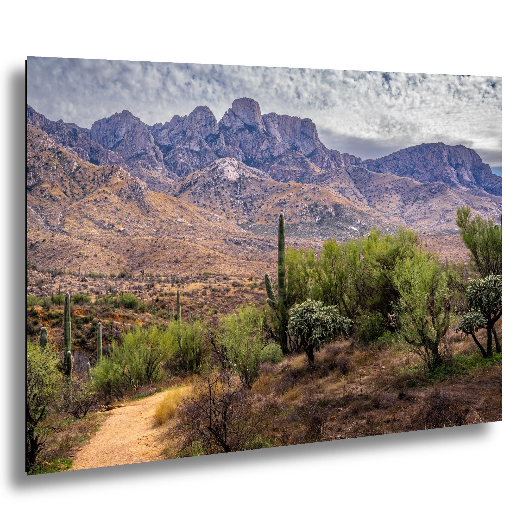 Santa Catalina Majesty, Arizona Mountains Sonoran Desert Photography Wall Art