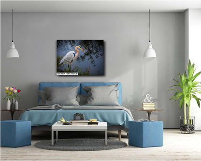 Laughing Blue Heron: Everglades National Park Florida Bird Print Wall Art Photography Animal Wildlife Aluminum/Acrylic/Metal/Canvas