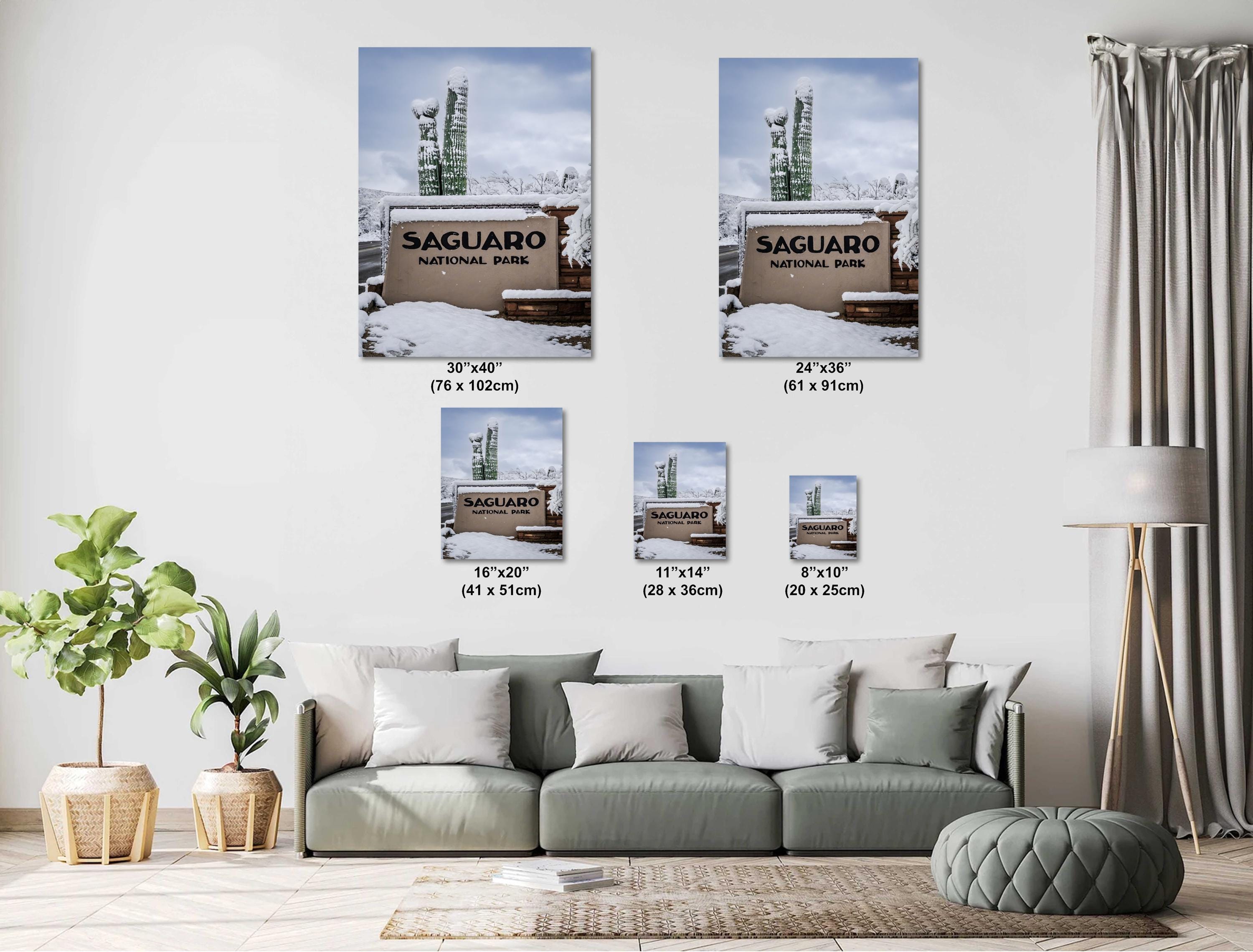 Saguaro National Park Winter Snow Cactus Print: Arizona Desert Wall Art