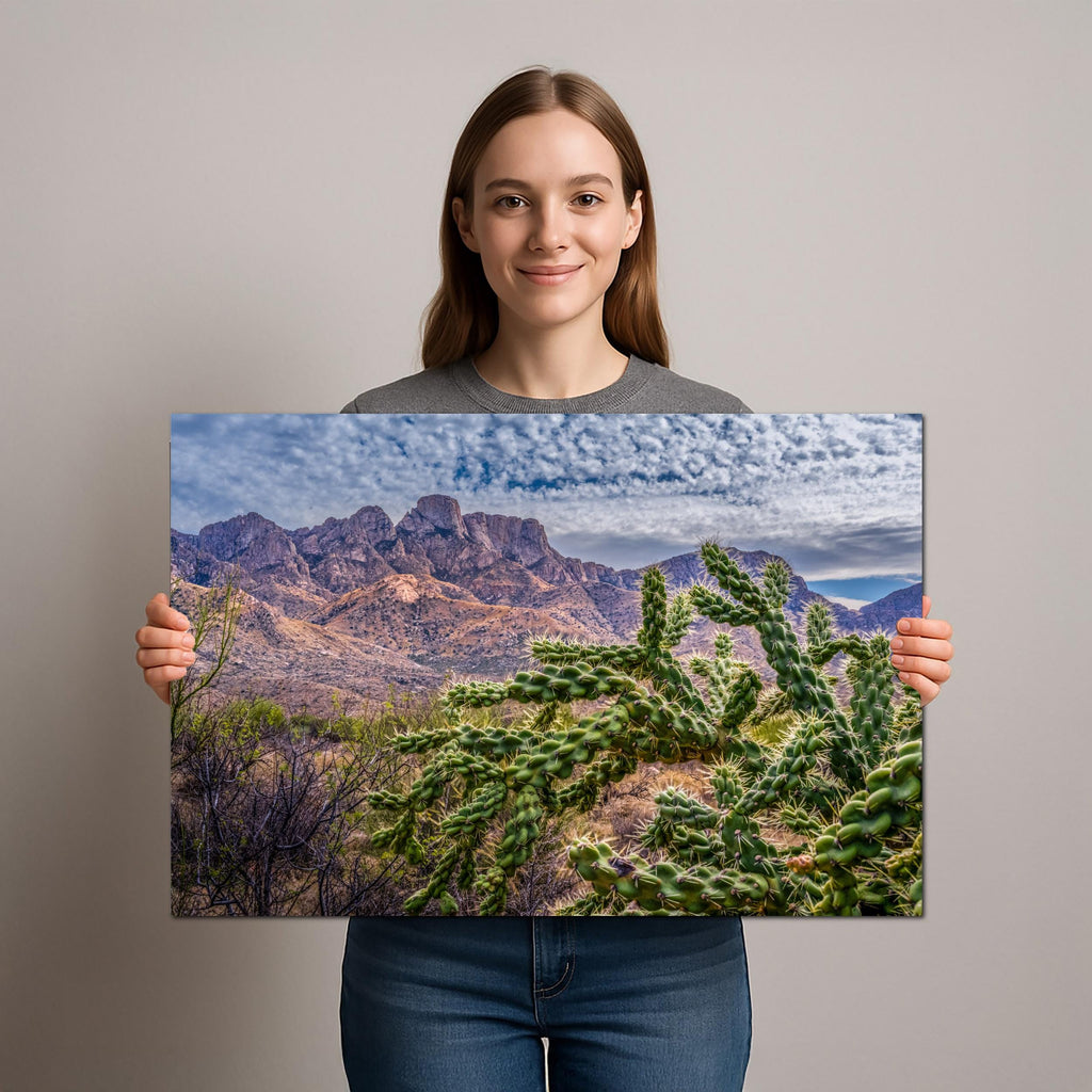 Cholla Cactus Arizona Desert Landscape Photography Wall Art