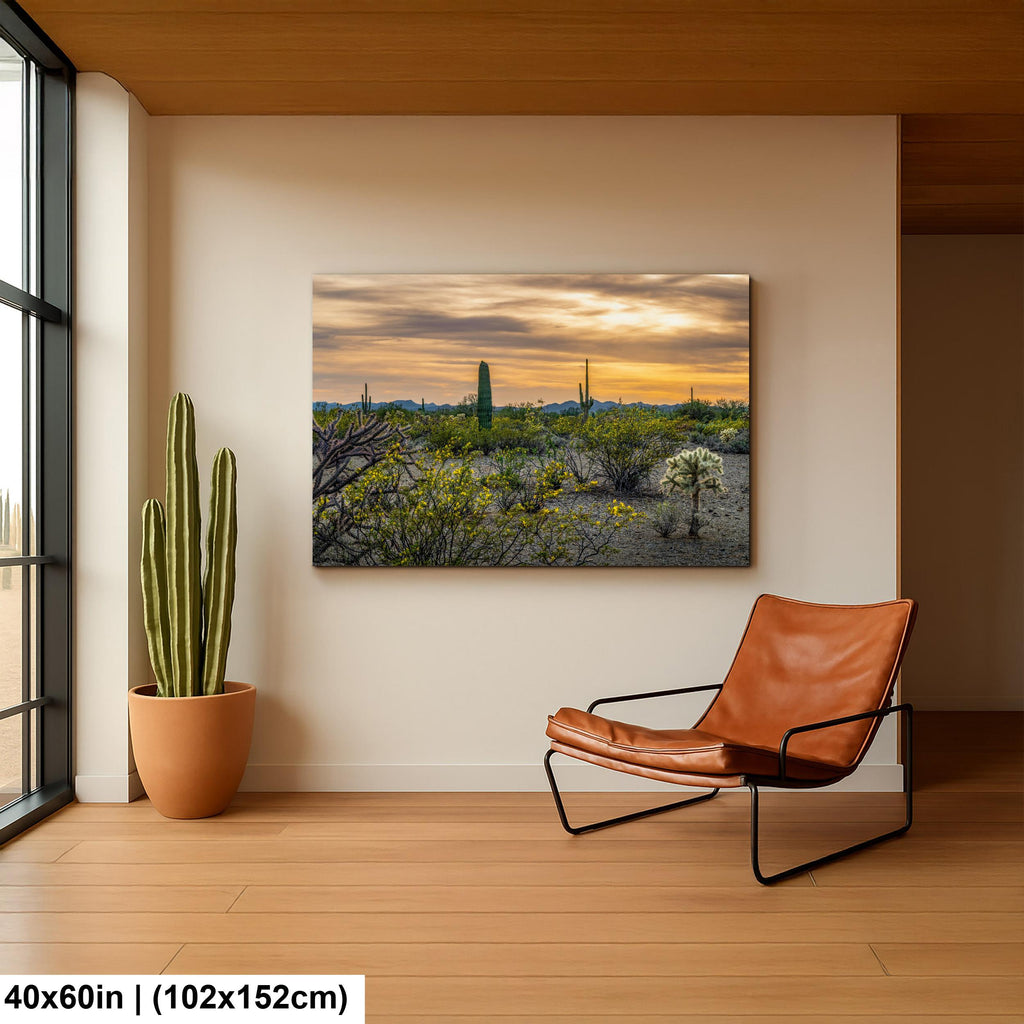 Spring Wildflowers and Saguaros at Dusk Tucson Arizona Photography Print