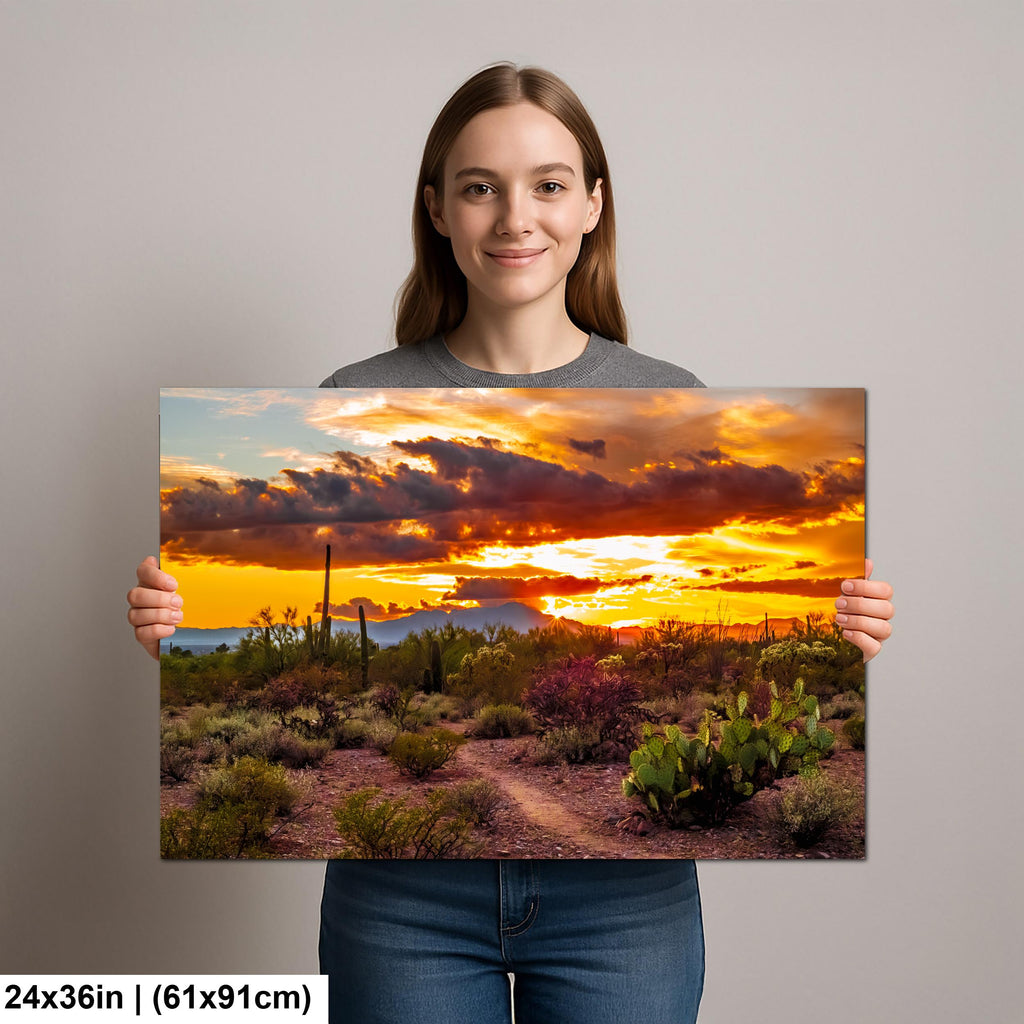 Fiery Sonoran Desert Sunset with Cactus, Tucson Mountain Park Arizona Photography Wall Art