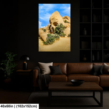 Skull Rock Joshua Tree National Park Photography Print, California Desert Landscape, Unique Rock Formation Wall Art