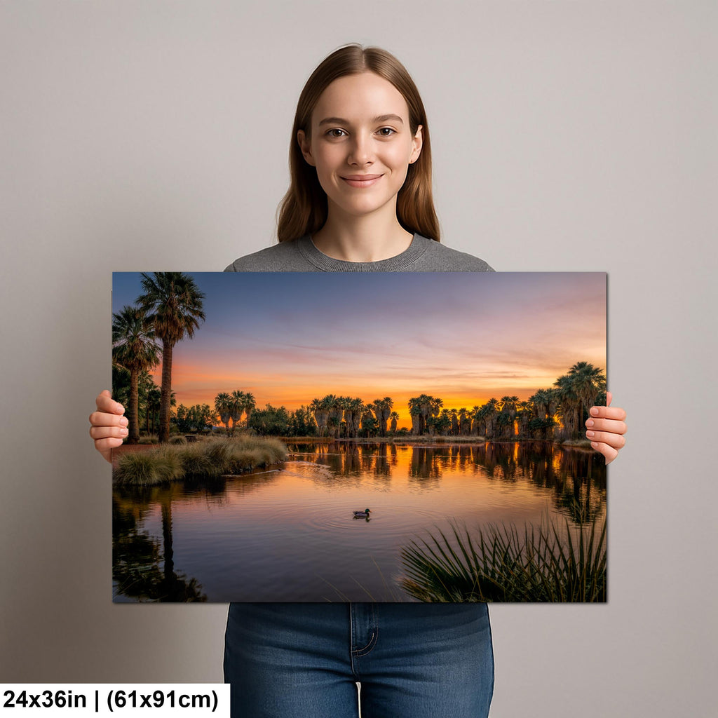 Agua Caliente Park Sunset Reflection, Tucson Arizona Photography Print, Desert Oasis Wall Art, Palm Tree Landscape Decor