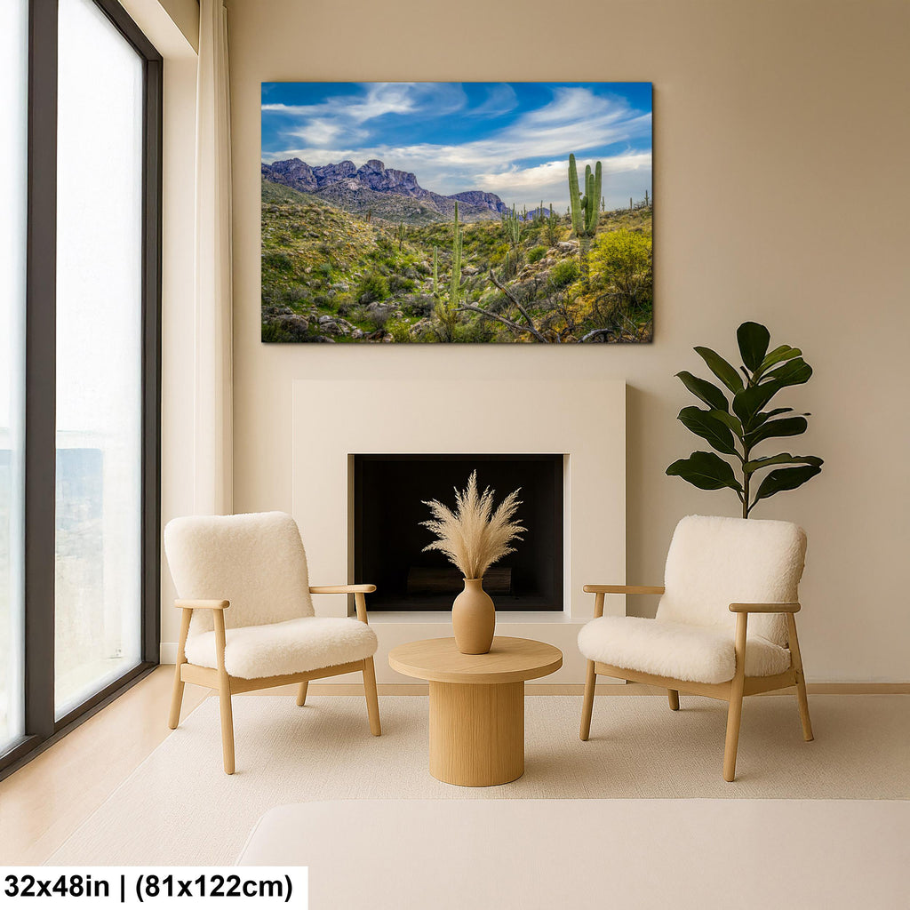 Sonoran Desert Valley with Saguaros and Mountains - Catalina State Park Tucson Arizona Photography Print