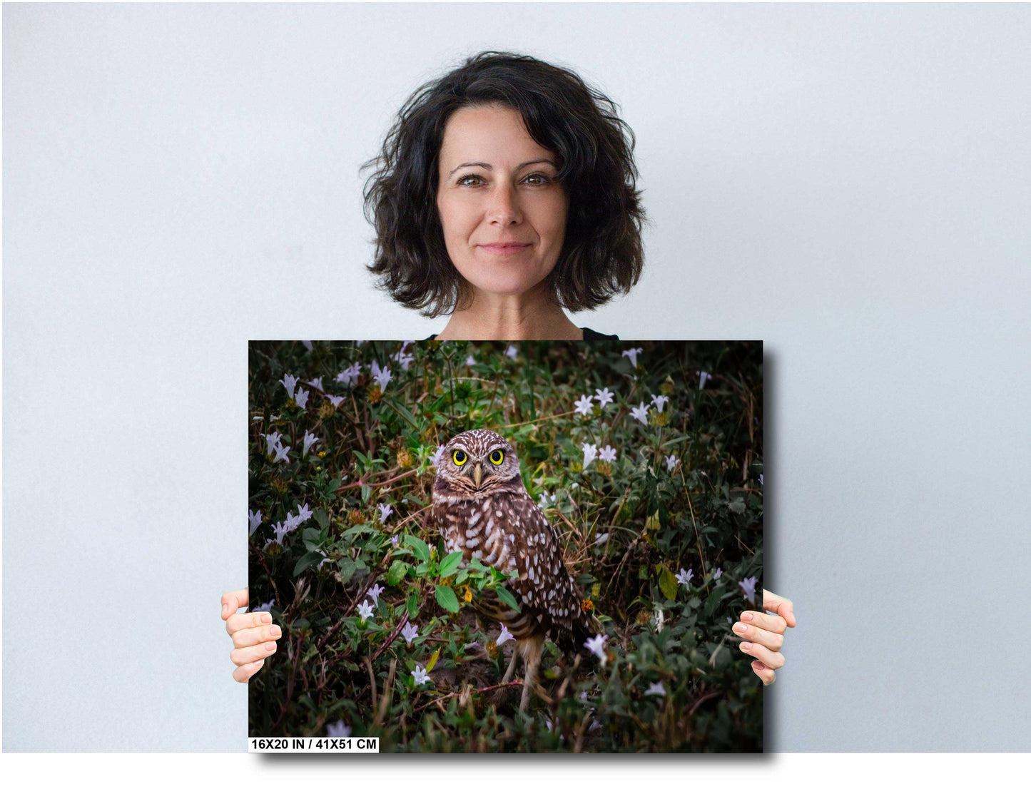 Burrowing Owl Among Flowers – Cape Coral’s Famous Little Watcher The Americas Print Wall Art Photography Aluminum/Acrylic/Metal/Canvas