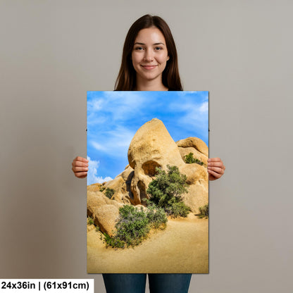 Skull Rock Joshua Tree National Park Photography Print, California Desert Landscape, Unique Rock Formation Wall Art