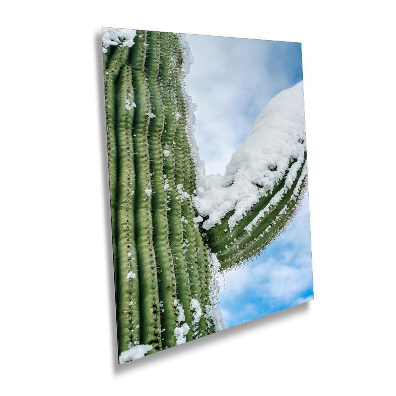 Snowy Saguaro Cactus Print: Arizona Desert Winter Wall Art