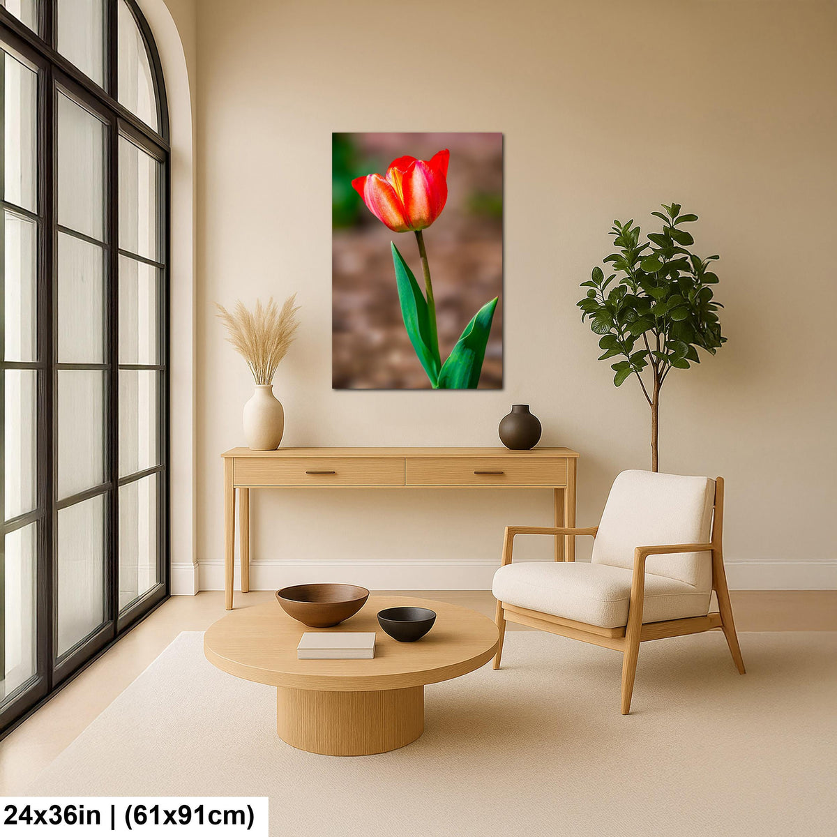 Scarlet Elegance: Red Tulip Flower Botanical Photography Wall Art