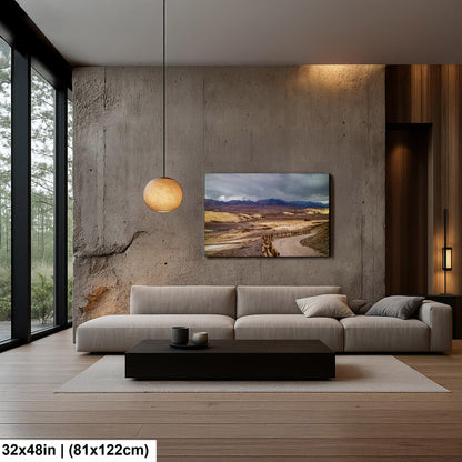 Storm Clouds over Death Valley National Park California Photography Print, Desert Landscape Wall Art