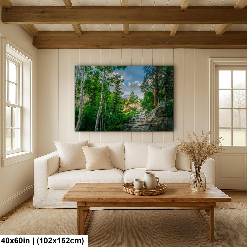 Rocky Mountain National Park Colorado Mountain Forest Trail Aspens Photography Print