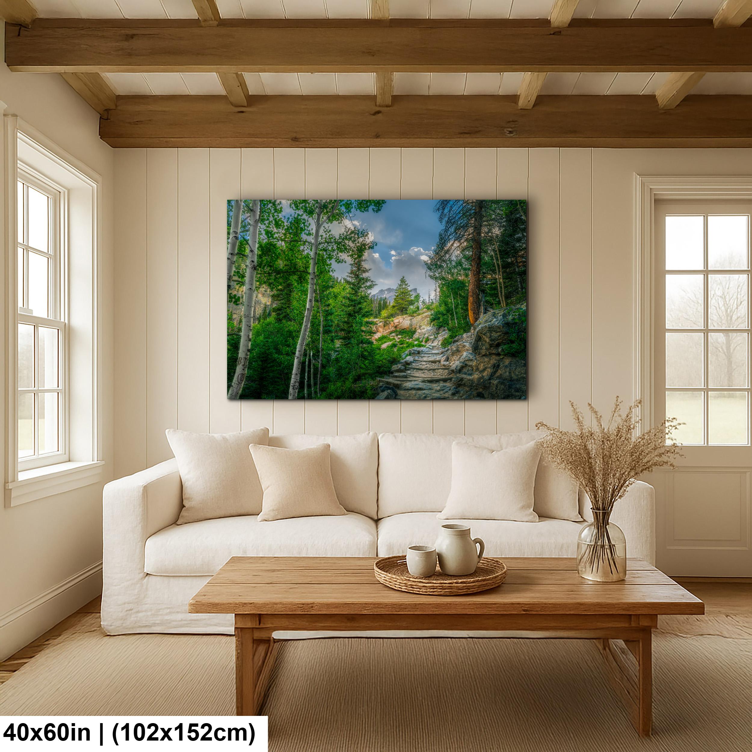 Rocky Mountain National Park Colorado Mountain Forest Trail Aspens Photography Print