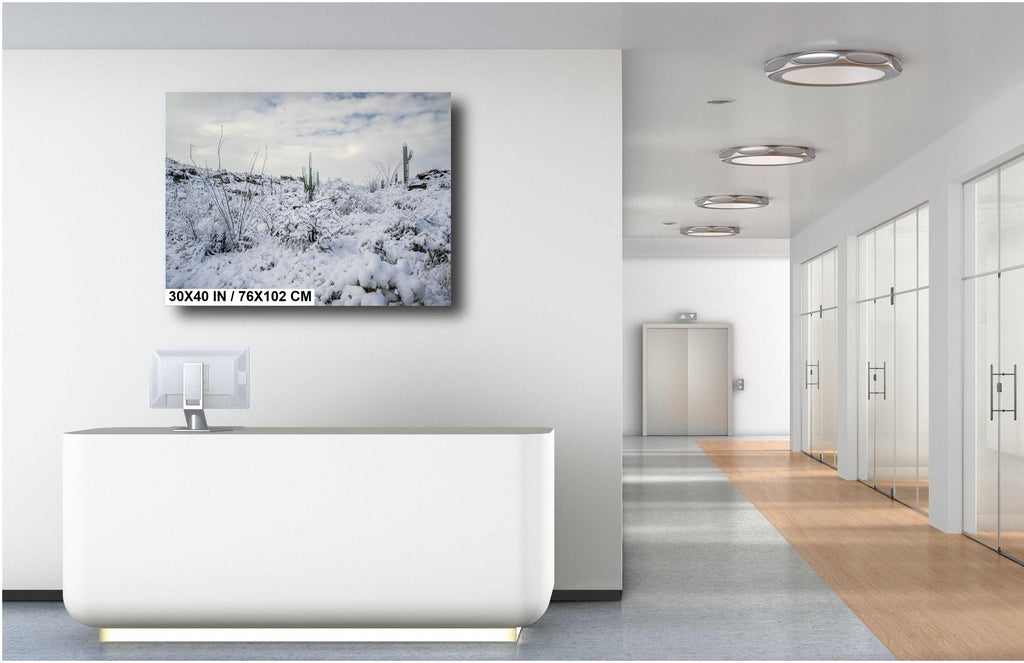 Saguaro National Park Winter Snow Print: Tucson Desert Photography
