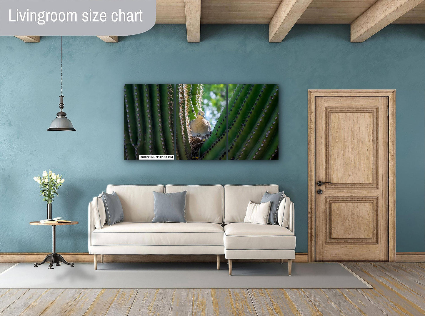 Mourning Dove in Saguaro Cactus Nest Arizona Desert Wildlife