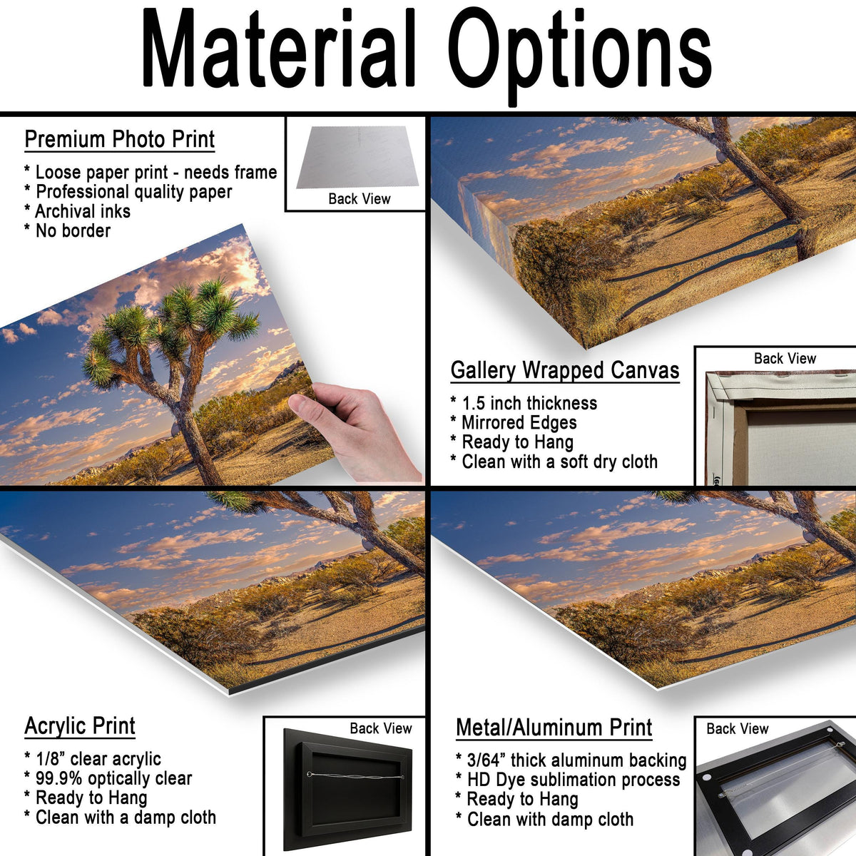 Desert Icon: Joshua Tree National Park California Landscape Photo Wall Art