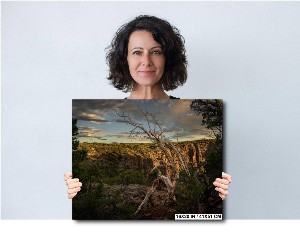 Woman holding a landscape photo of a tree and mountains