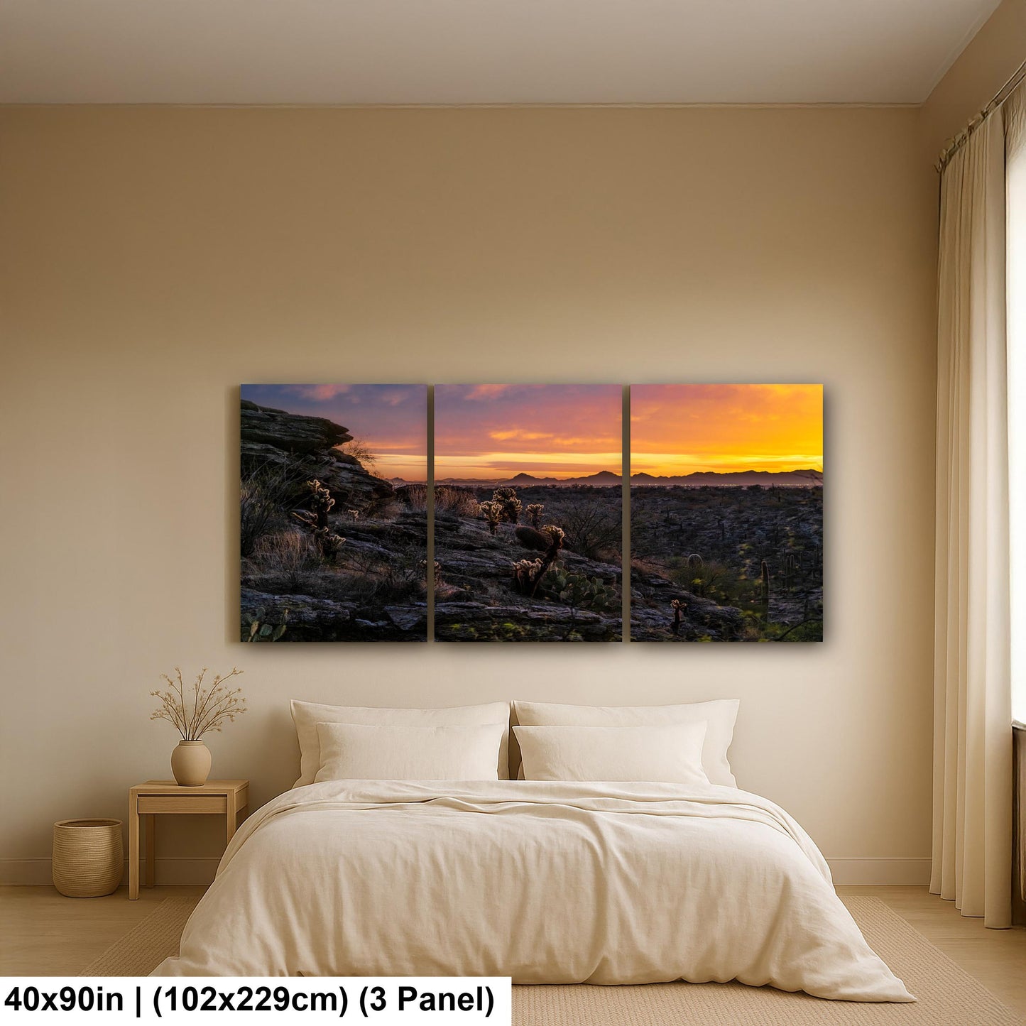 Sonoran Desert Sunset with Cholla and Saguaros - Casa Grande Arizona Photography Print