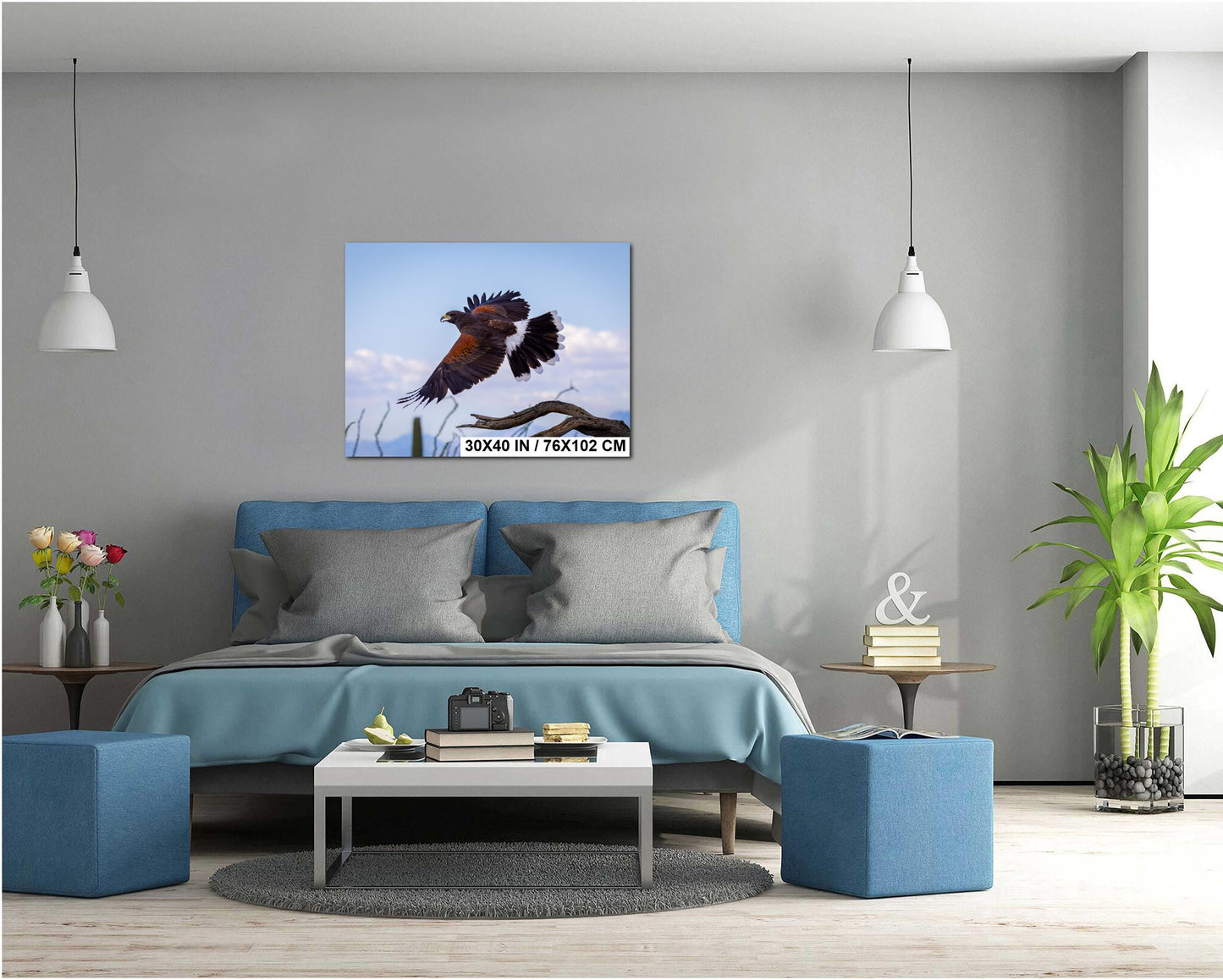 Harris's Hawk Desert Flight Photography: Southwest Wildlife Art Print
