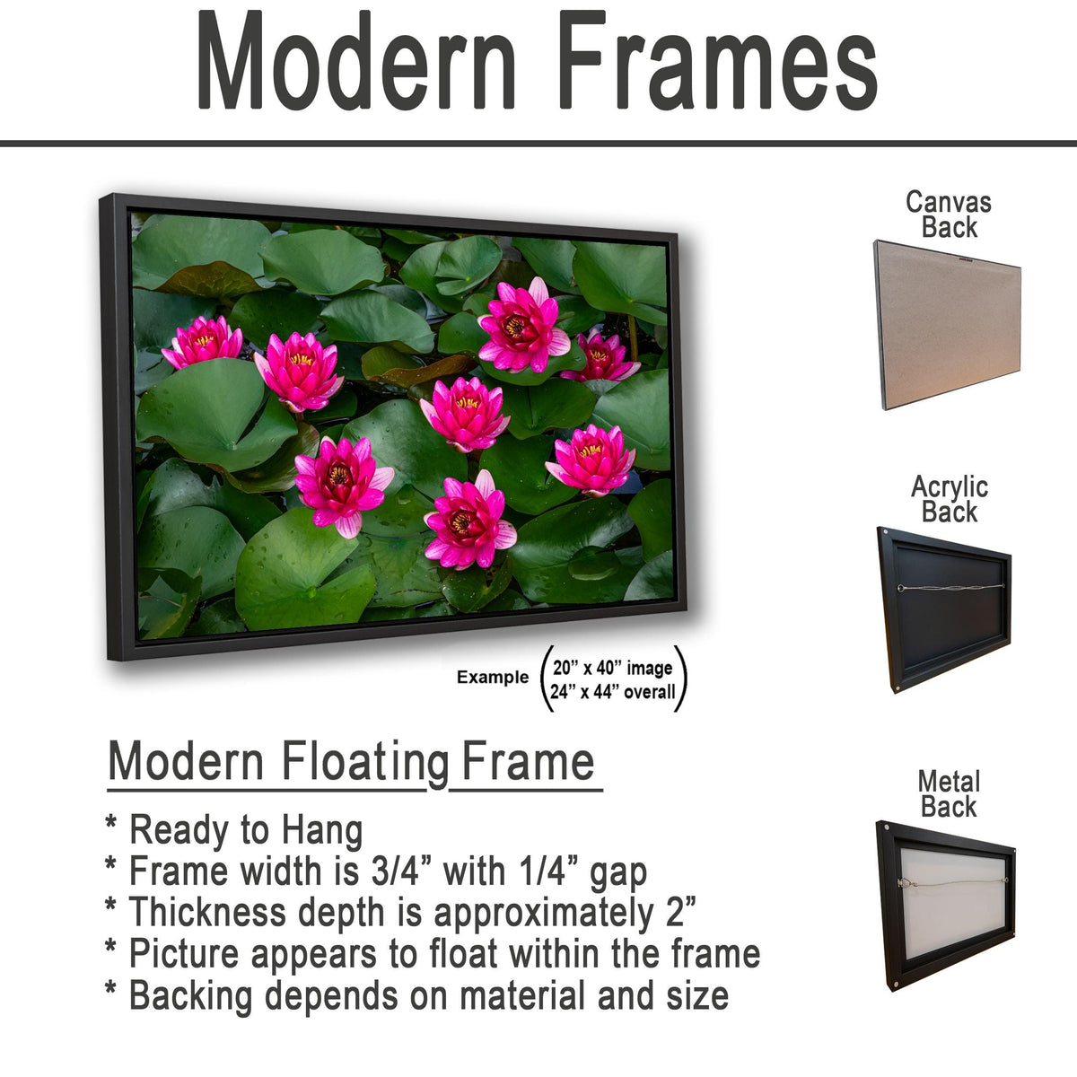 Magenta Blooms: Nymphaea Water Lilies Botanical Photography Wall Art
