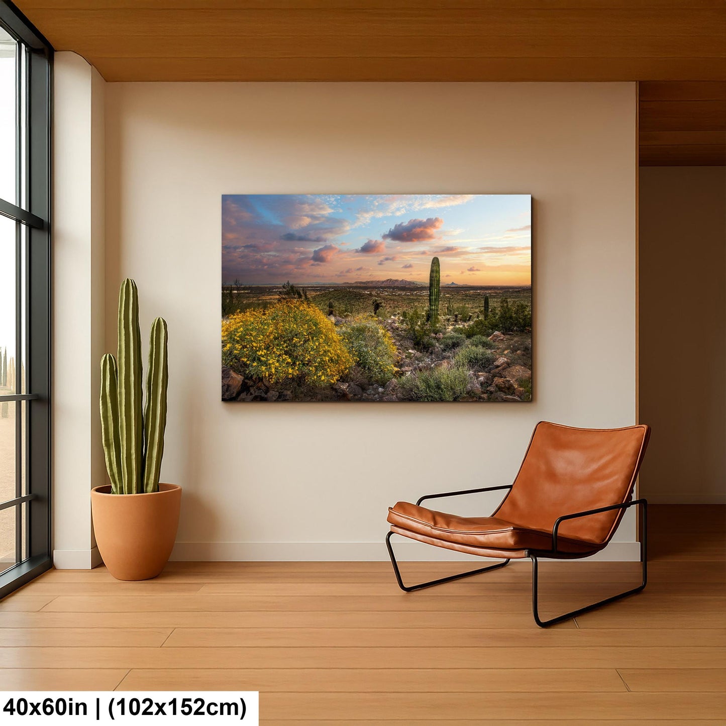 Arizona Sunset Overlook with Saguaros and Wildflowers - Casa Grande Sonoran Desert Photography Print