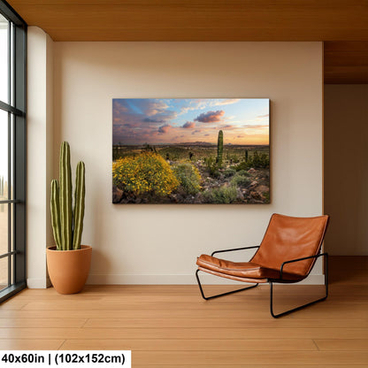 Arizona Sunset Overlook with Saguaros and Wildflowers - Casa Grande Sonoran Desert Photography Print