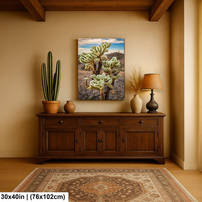Teddy Bear Cholla Cactus Sonoran Desert Arizona Photography Print, Southwest Desert Wall Art