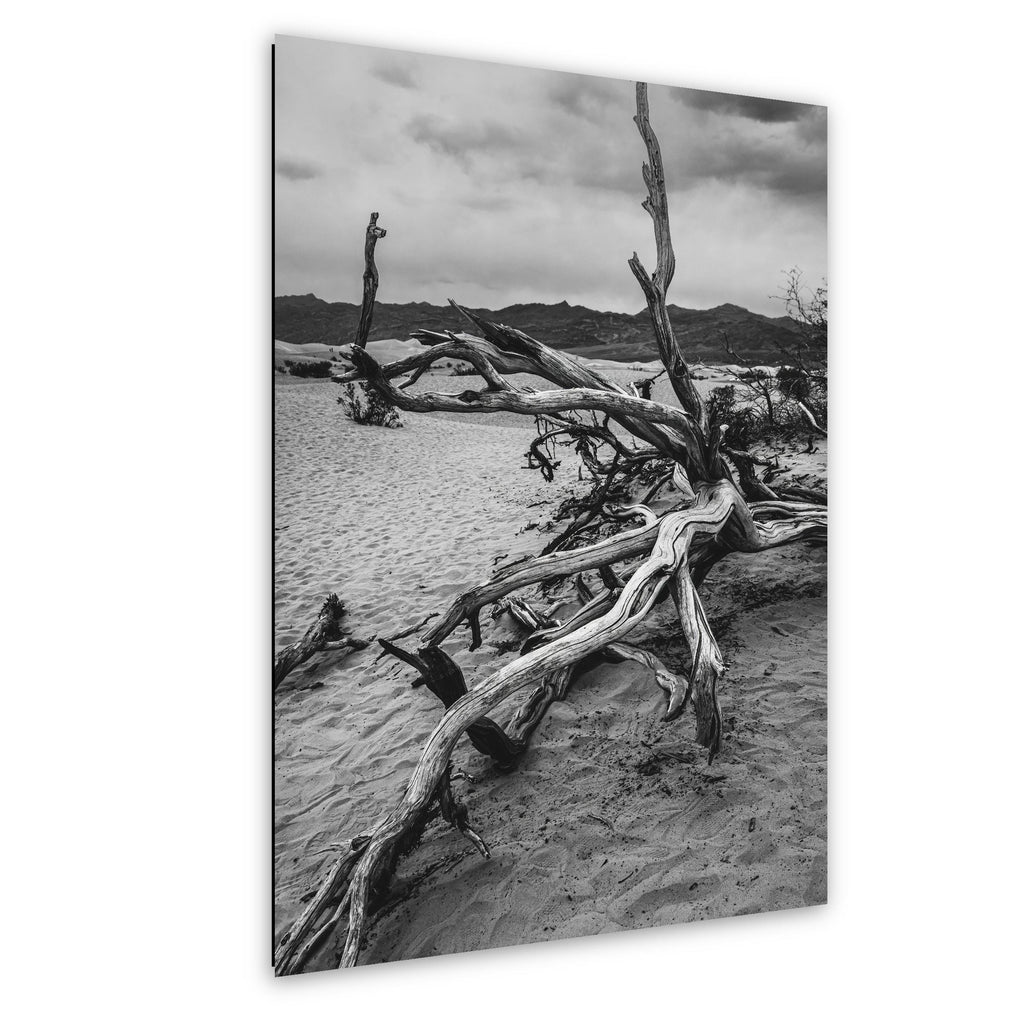 Mesquite Flat Sand Dunes Driftwood Study, Death Valley National Park California