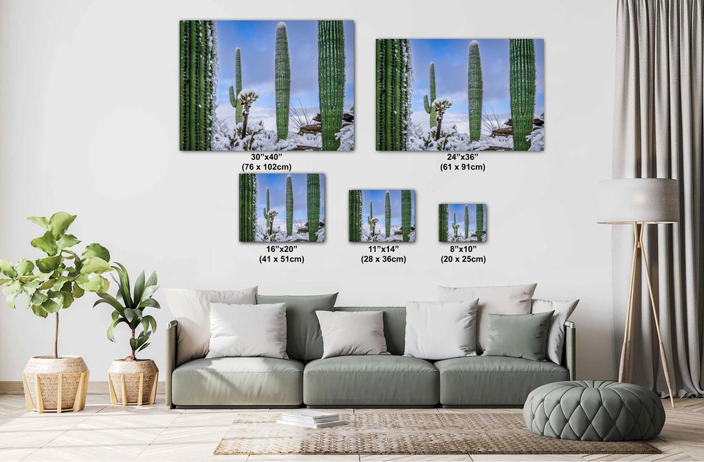 Saguaro Cactus Wall Art - Snow-Covered Desert Landscape Print | Southwest Art