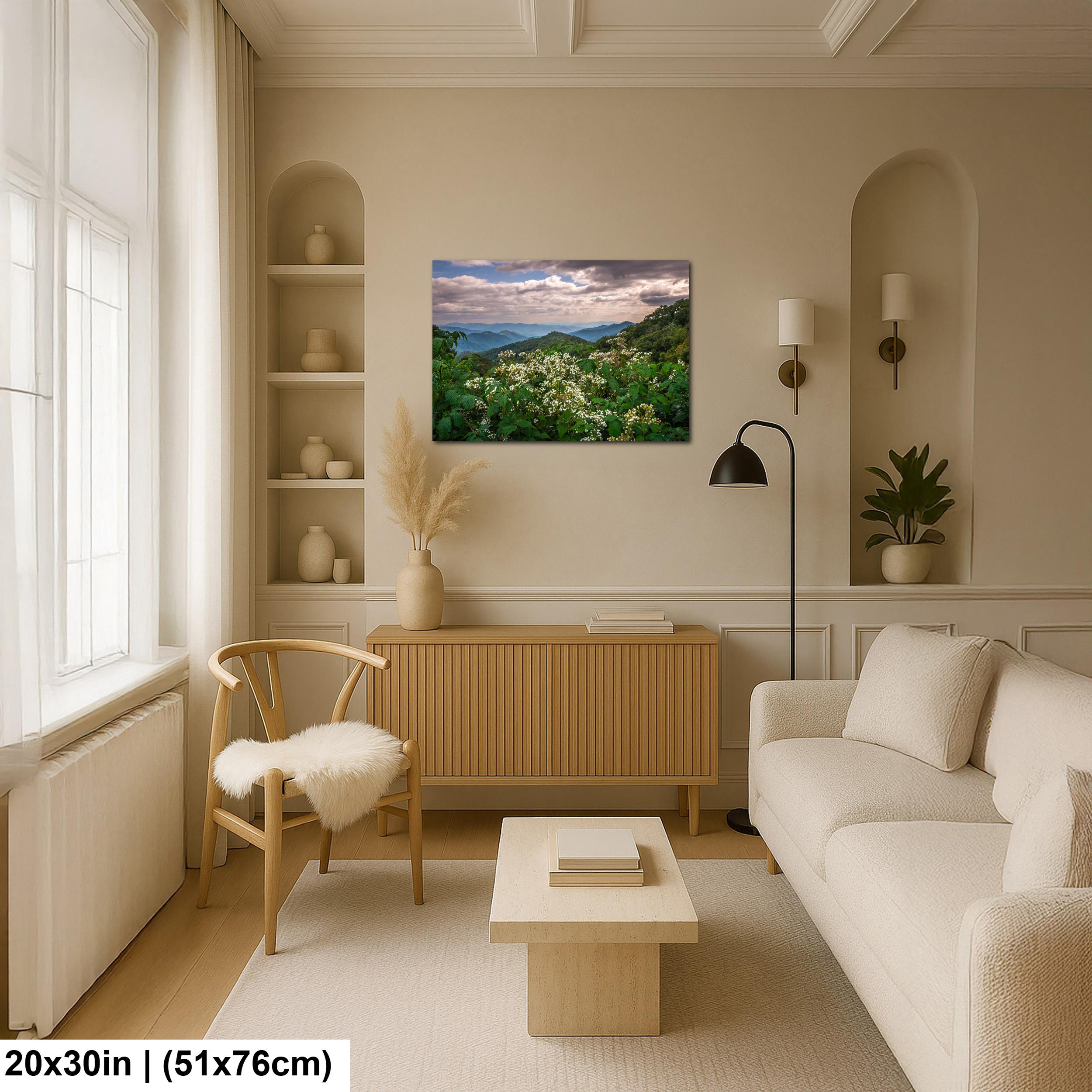 Mountain Meadow: Wildflowers Great Smoky Mountains Tennessee Photo Wall Art