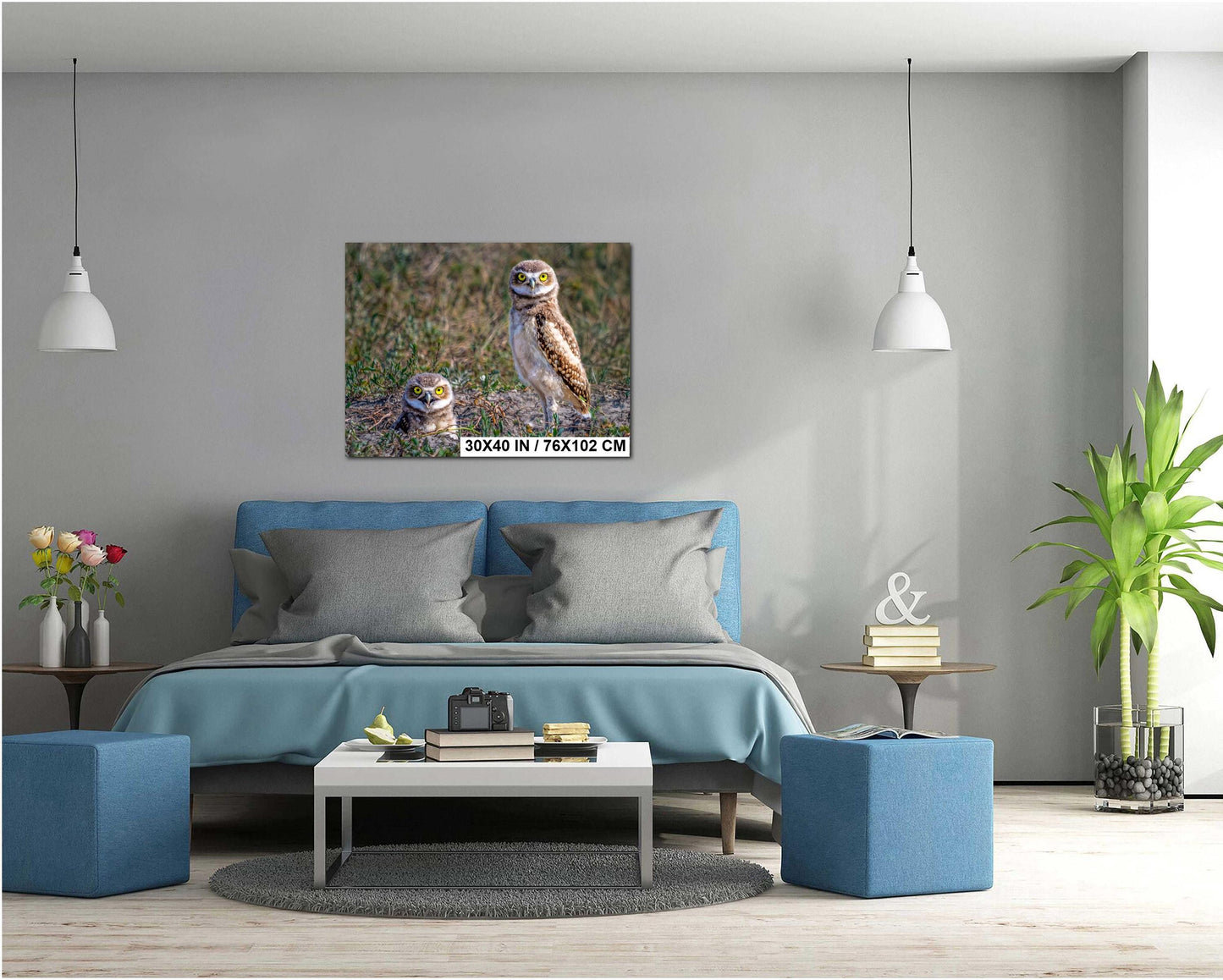 Burrowing Owls Pair Badlands National Park South Dakota Wildlife Photography Print Wall Art, Nature Bird Photo