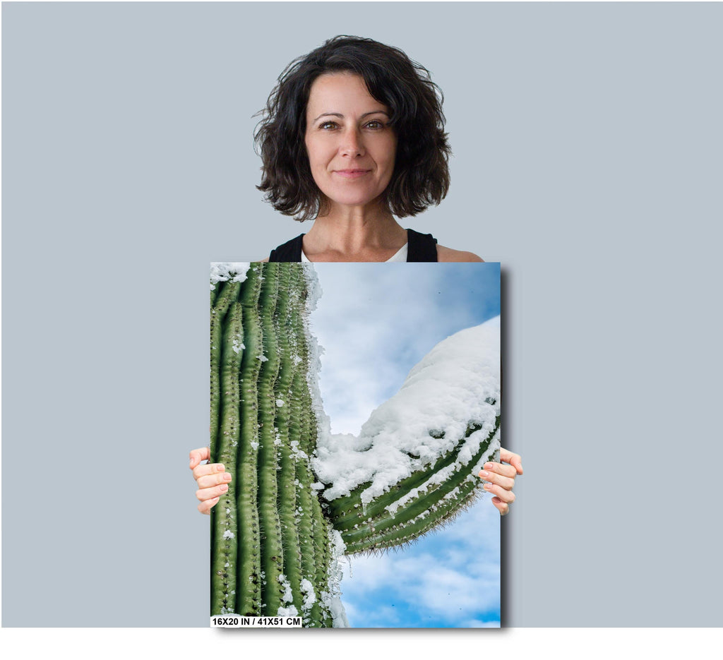 Snowy Saguaro Cactus Print: Arizona Desert Winter Wall Art