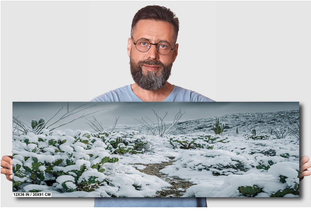 Snowy Saguaro Cactus Print: Tucson Arizona Winter Desert Photography