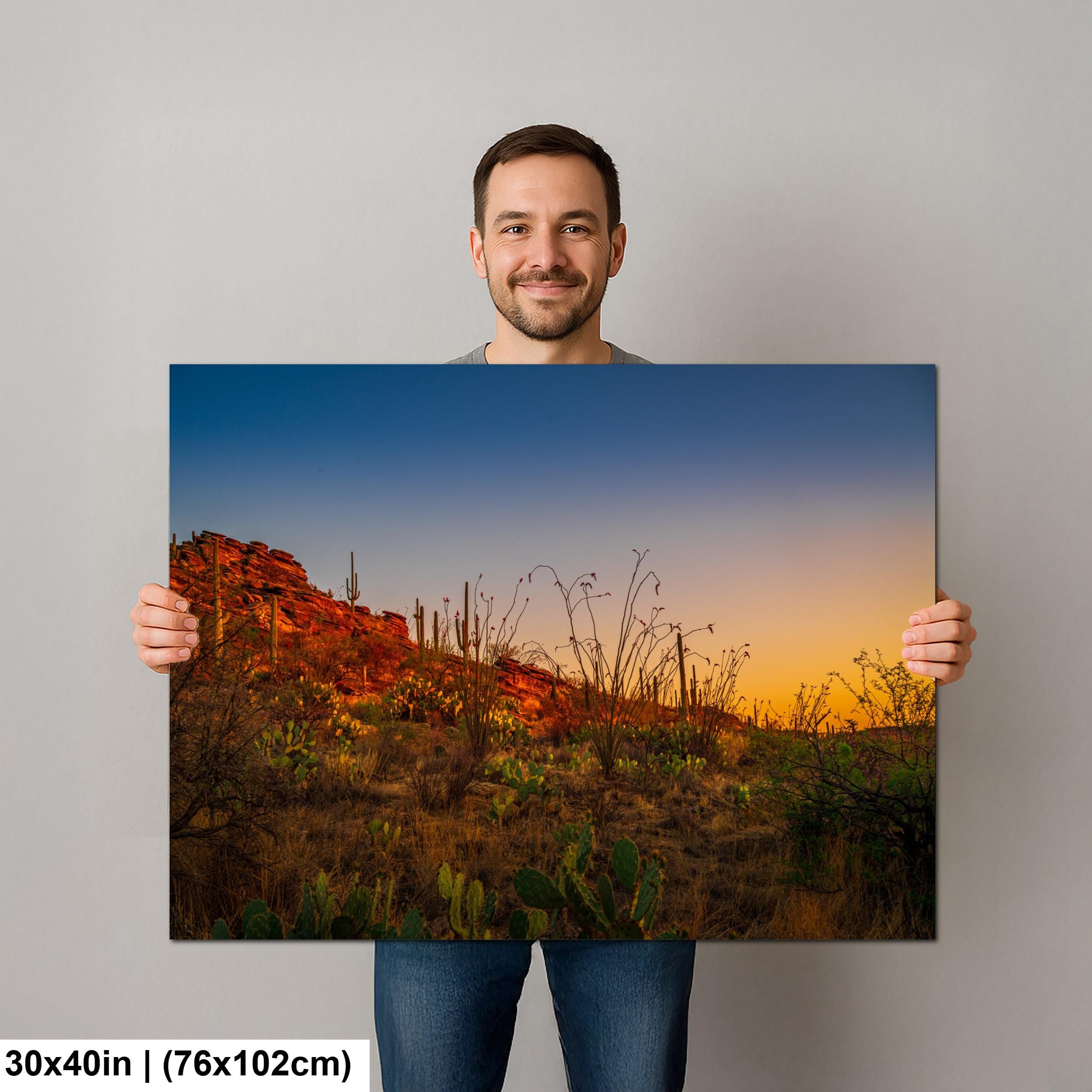 Sonoran Desert Sunset with Saguaros and Ocotillo - Saguaro National Park East Tucson Photography Print