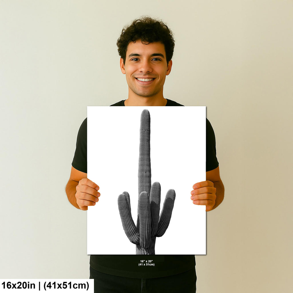 Saguaro Cactus Photography: Black and White Desert Minimalist Wall Art