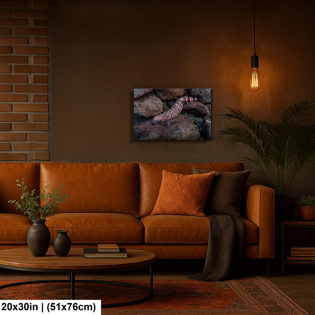 Gila Monster Print – Desert Wildlife Art | Arizona Reptile Photography Canvas