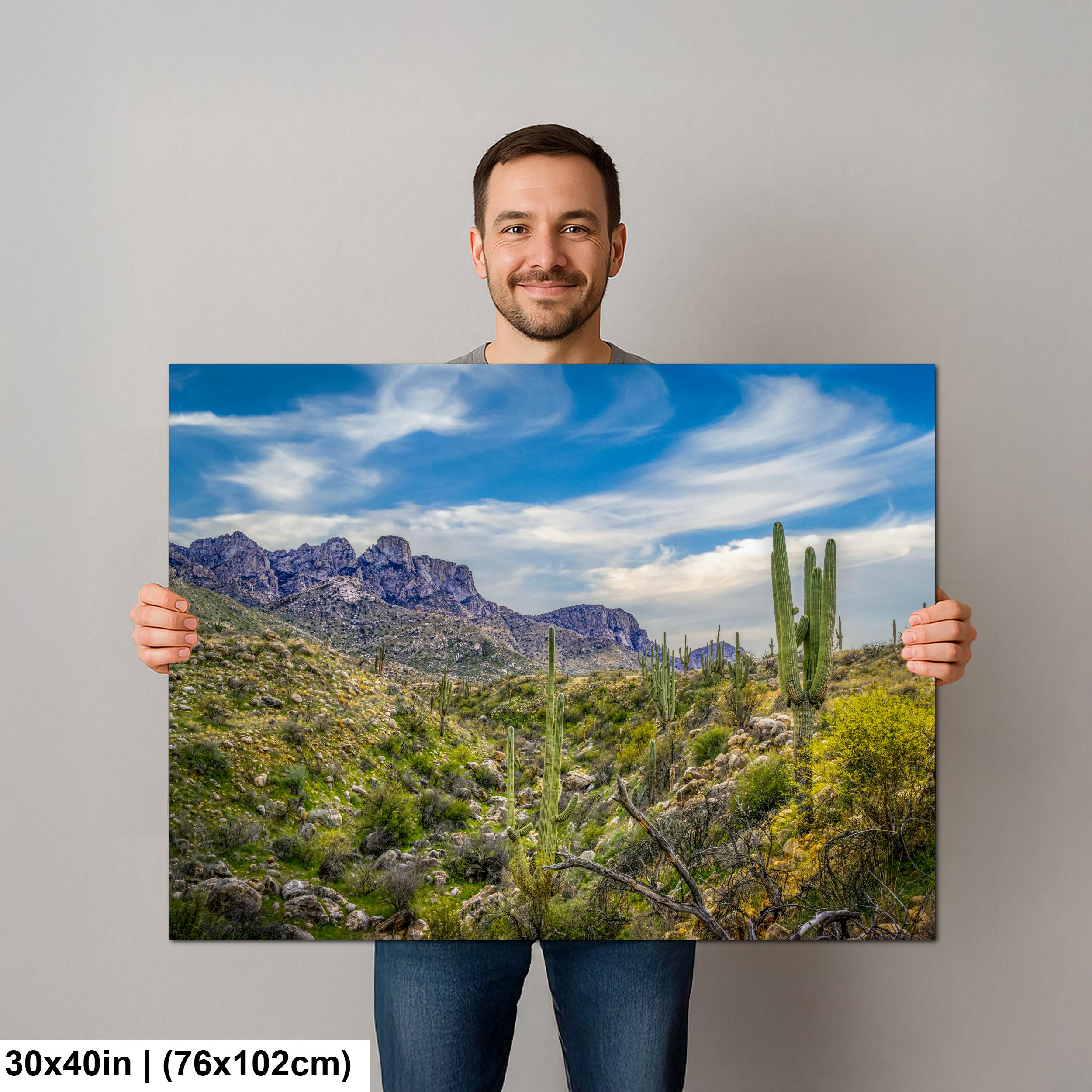Sonoran Desert Valley with Saguaros and Mountains - Catalina State Park Tucson Arizona Photography Print